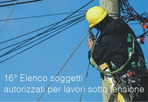 16° Elenco soggetti autorizzati per lavori sotto tensione 16° Elenco soggetti autorizzati per lavori sotto tensione
